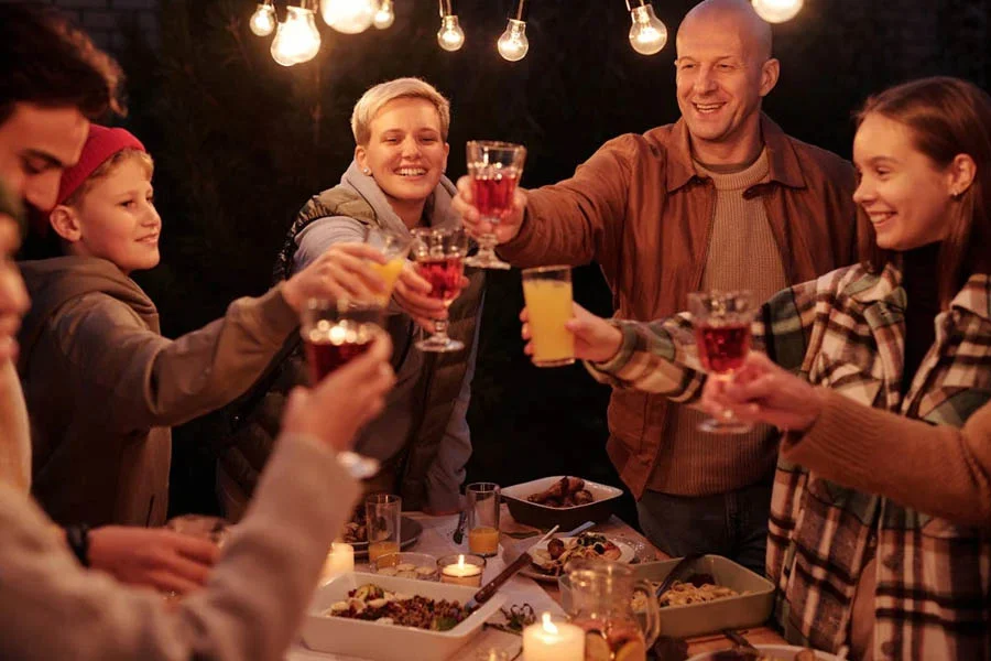 pop up gazebo with netting
